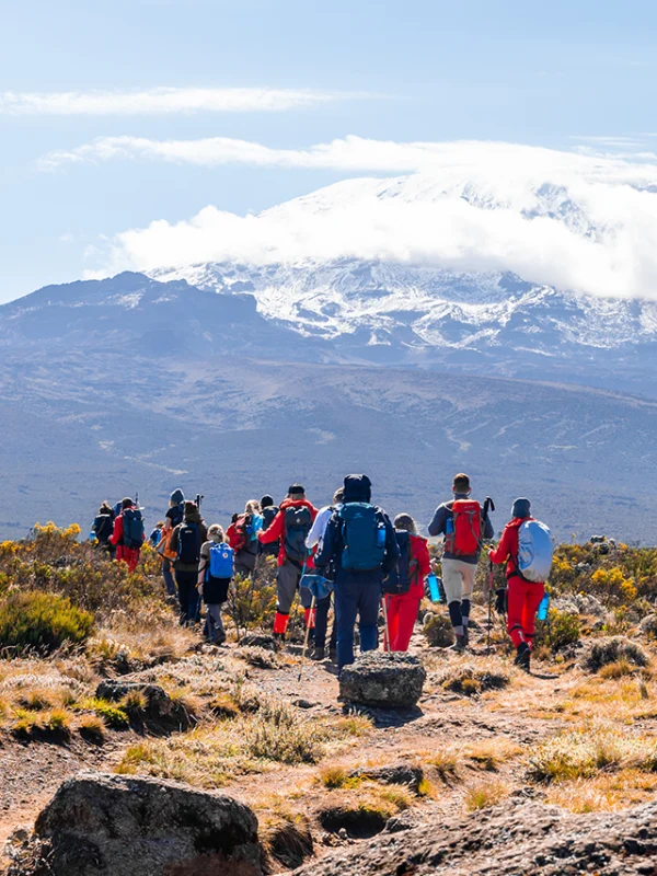 Expédition au sommet du Kibo